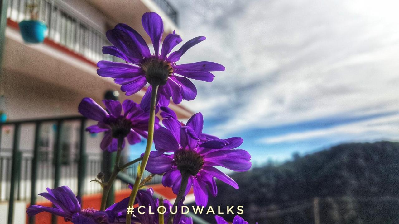 Cloudwalks Kodaikanal Kültér fotó